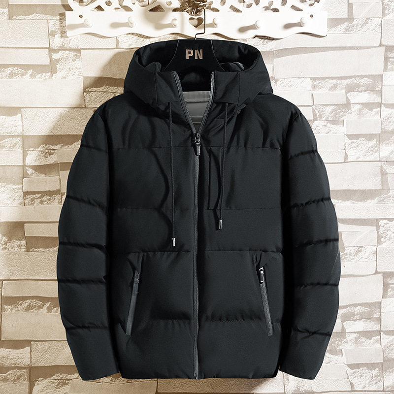 Coats & Jackets |  Mens Antigua Padded Jacket Black Clothing Coats & Jackets